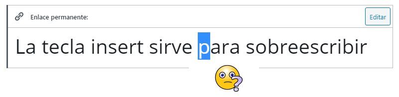 solucion-al-problema-la-palabra-que-escribi-reemplaza-a-la-que-escribi-antes